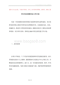 审计局支部委员会工作计划.docx