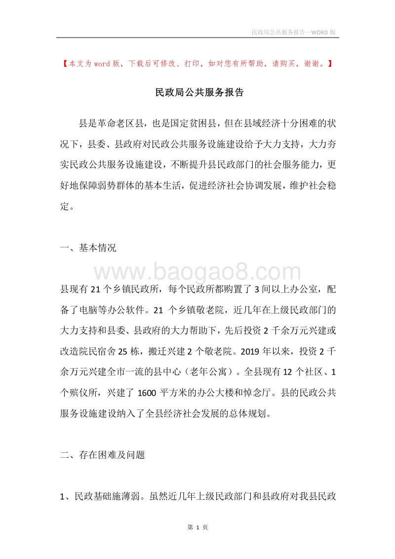 民政局公共服务报告.docx_第1页