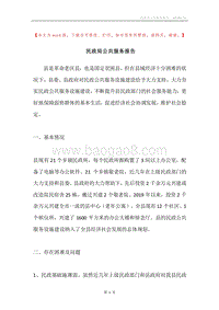 民政局公共服务报告.docx