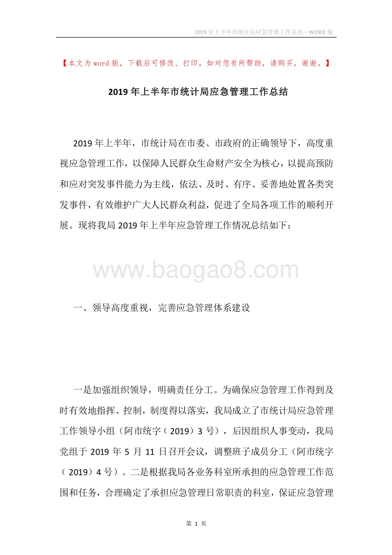 2019年上半年市统计局应急管理工作总结.docx_第1页