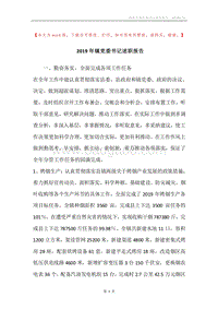 2019年镇党委书记述职报告.docx