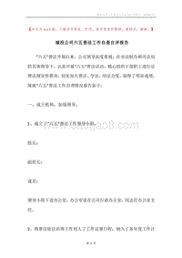 城投公司六五普法工作自查自评报告.docx