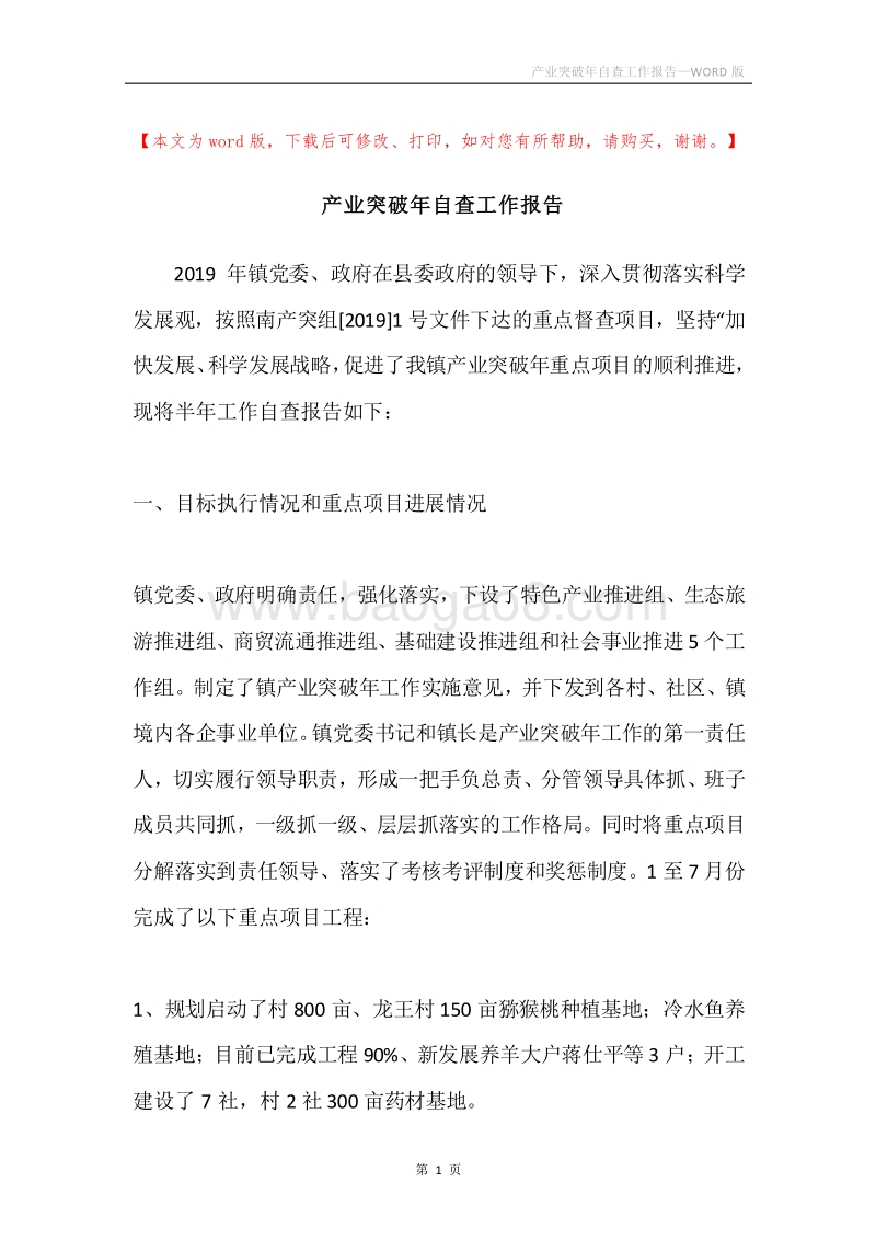 产业突破年自查工作报告.docx_第1页