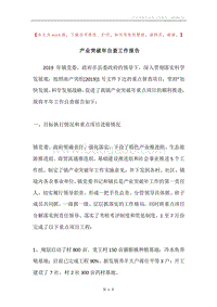 产业突破年自查工作报告.docx