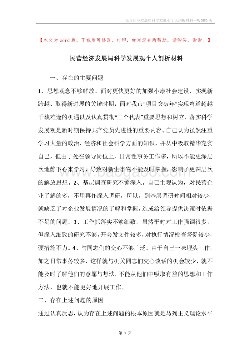 民营经济发展局科学发展观个人剖析材料.docx_第1页