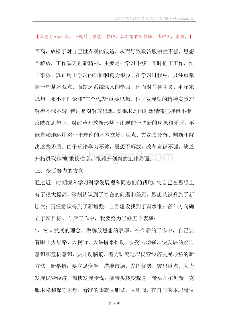 民营经济发展局科学发展观个人剖析材料.docx_第2页