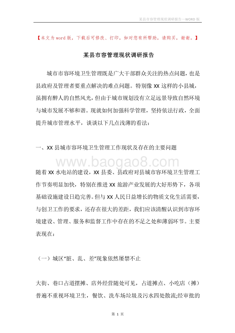 某县市容管理现状调研报告.docx_第1页