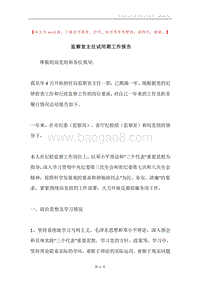 监察室主任试用期工作报告.docx