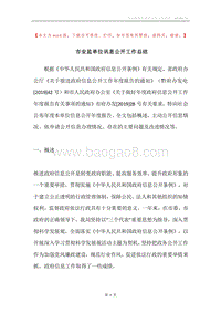 市安监单位讯息公开工作总结.docx