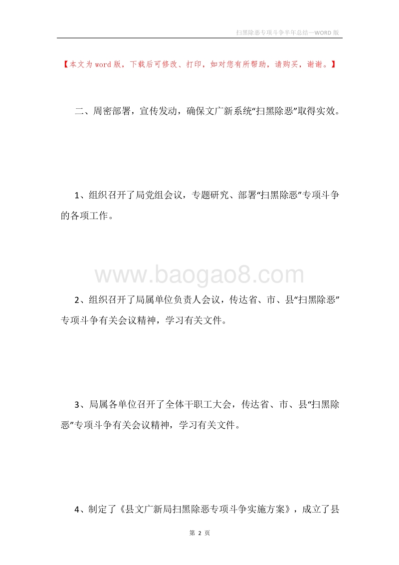 扫黑除恶专项斗争半年总结.docx_第2页