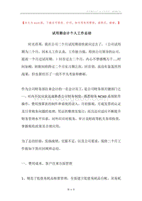 试用期会计个人工作总结.docx