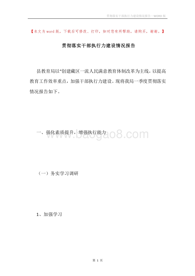 贯彻落实干部执行力建设情况报告.docx_第1页