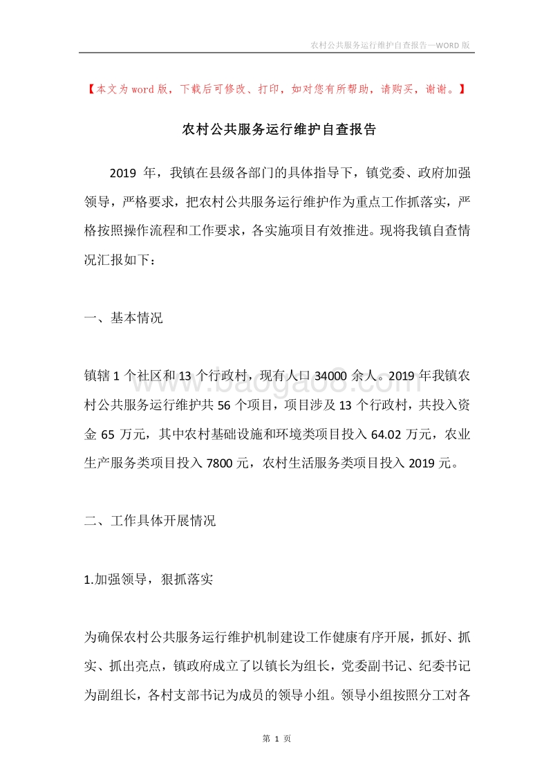 农村公共服务运行维护自查报告.docx_第1页