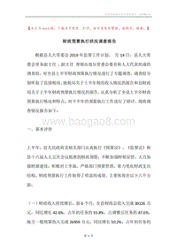 财政预算执行状况调查报告.docx