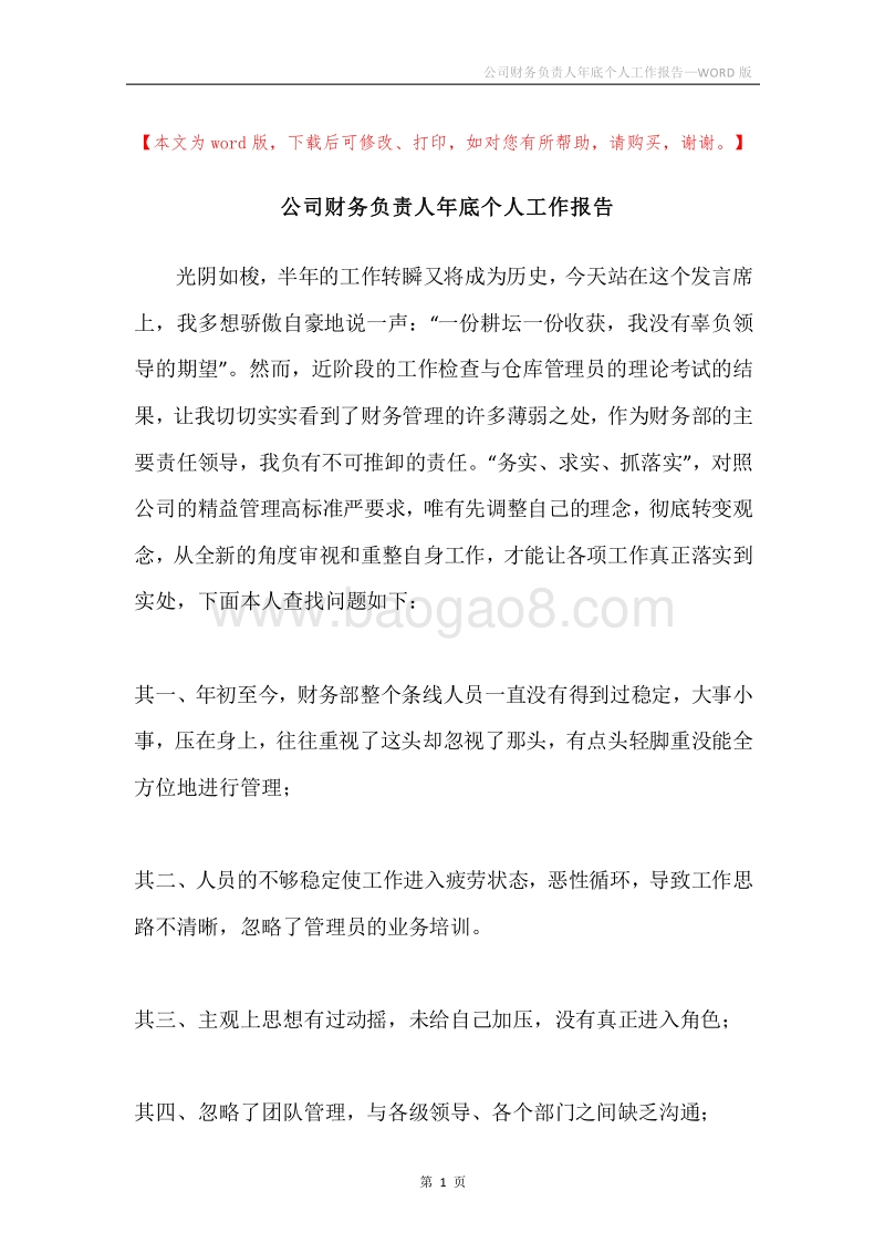 公司财务负责人年底个人工作报告.docx_第1页