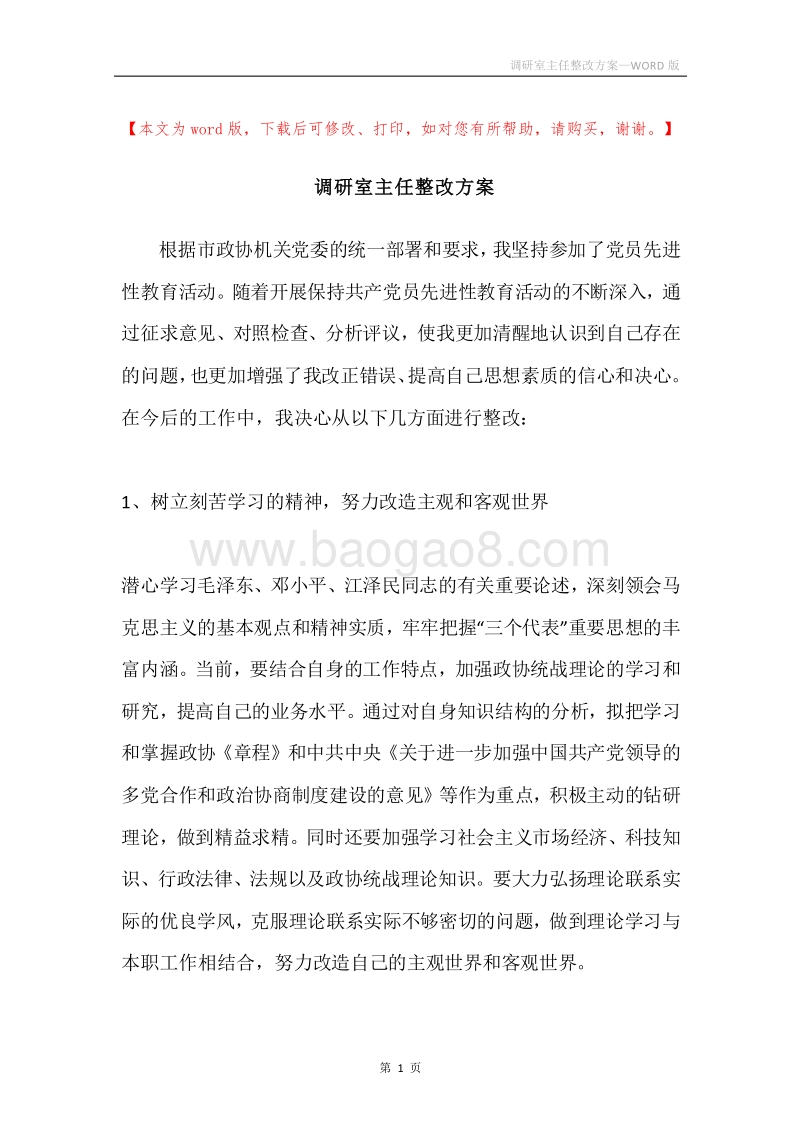 调研室主任整改方案.docx_第1页