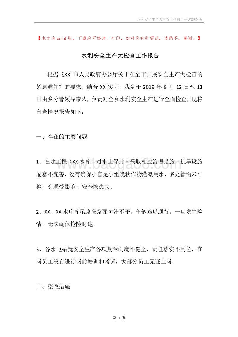 水利安全生产大检查工作报告.docx_第1页
