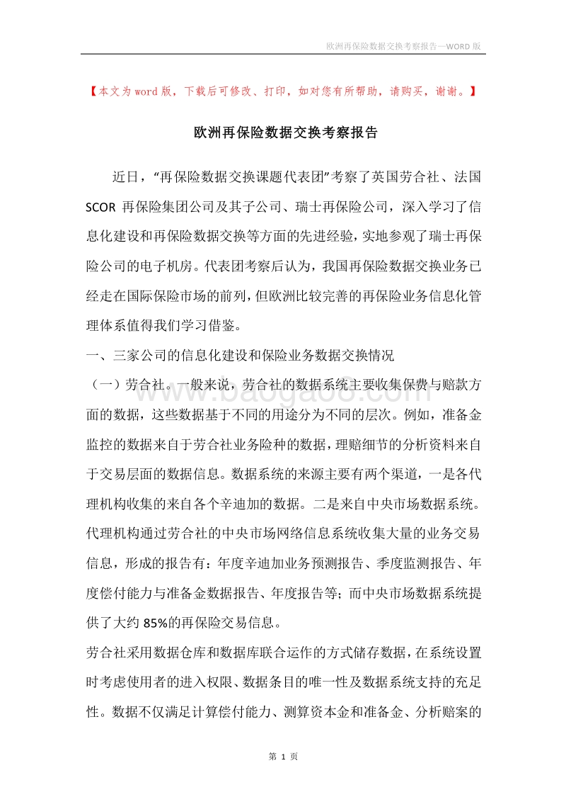欧洲再保险数据交换考察报告.docx_第1页