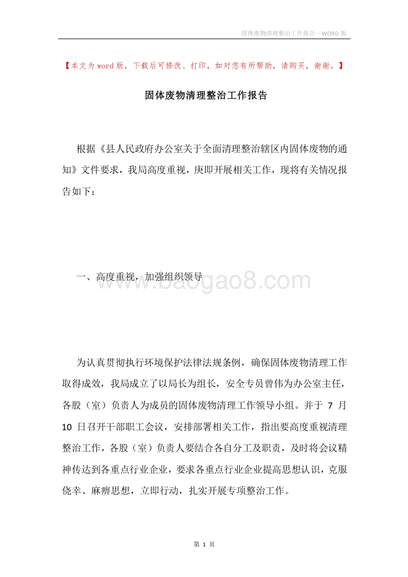 固体废物清理整治工作报告.docx_第1页