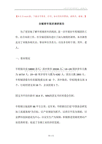 全镇青年现状调研报告.docx