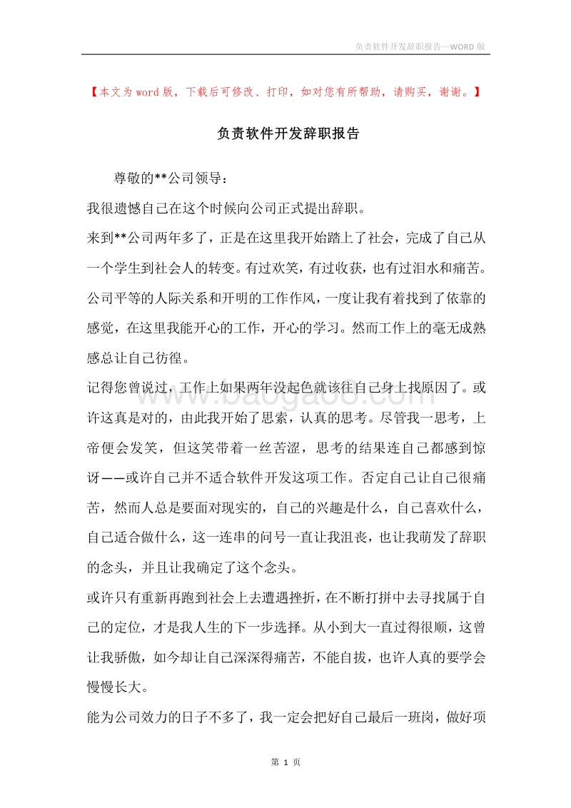 负责软件开发辞职报告.docx_第1页