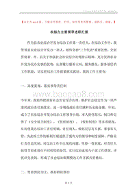 农综办主要领导述职汇报.docx
