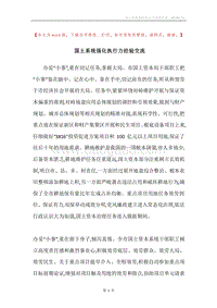 国土系统强化执行力经验交流.docx