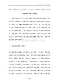 农业银行实践工作报告.docx