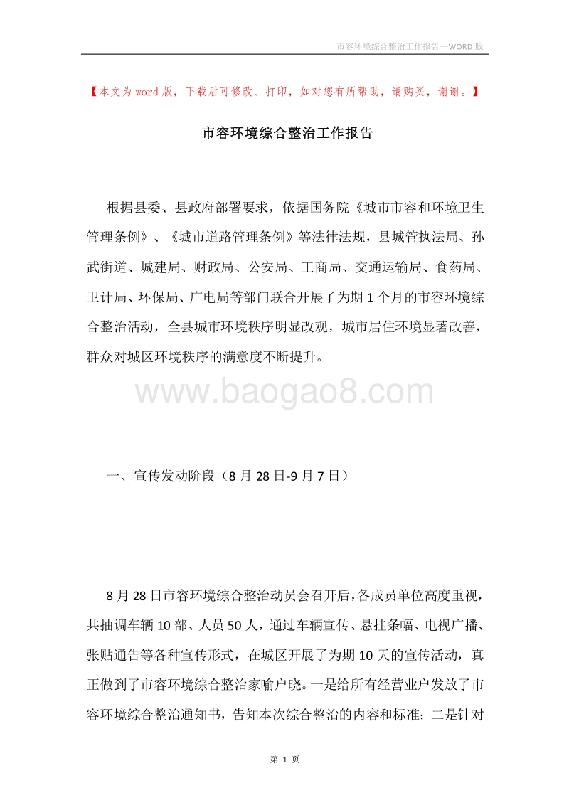 市容环境综合整治工作报告.docx_第1页