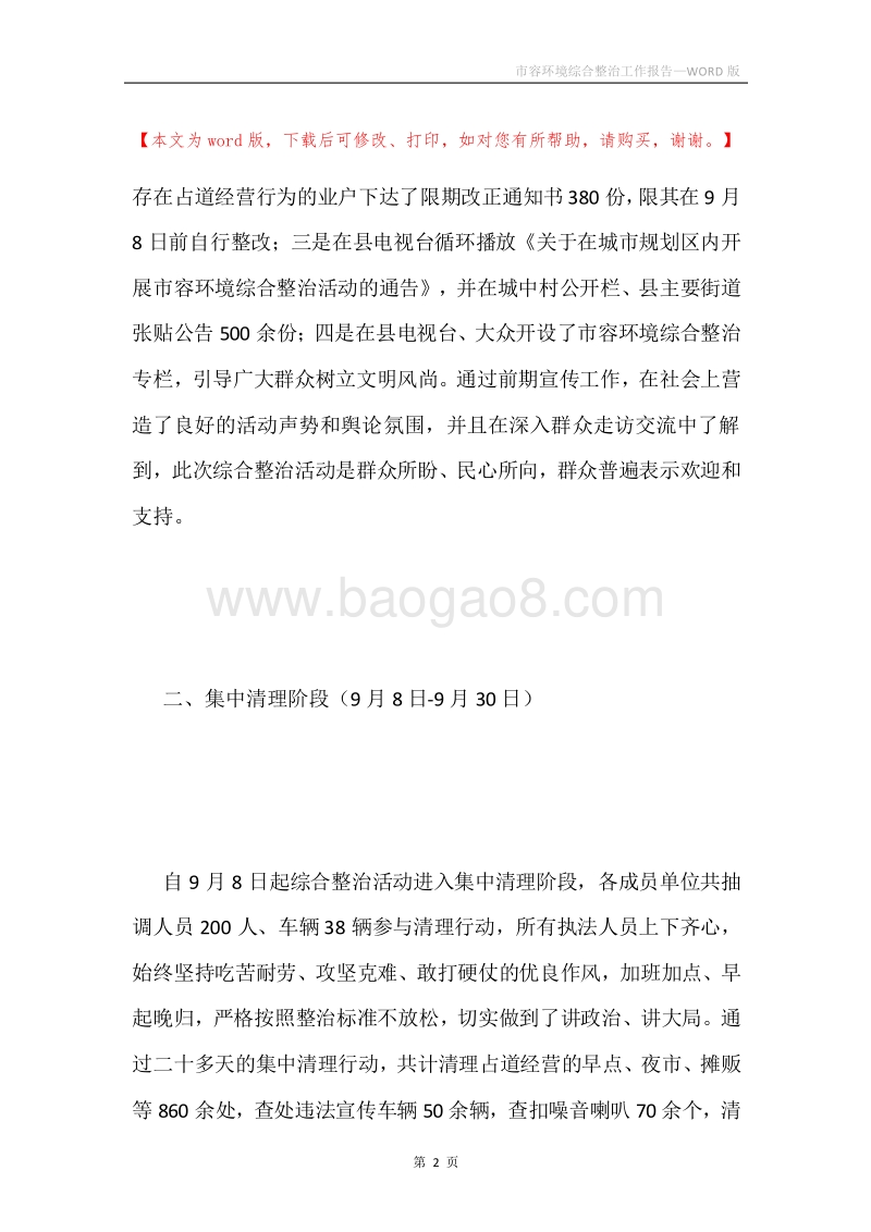 市容环境综合整治工作报告.docx_第2页
