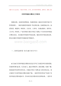 市容环境综合整治工作报告.docx