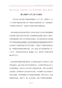 国土局践行“三严三实”工作报告.docx