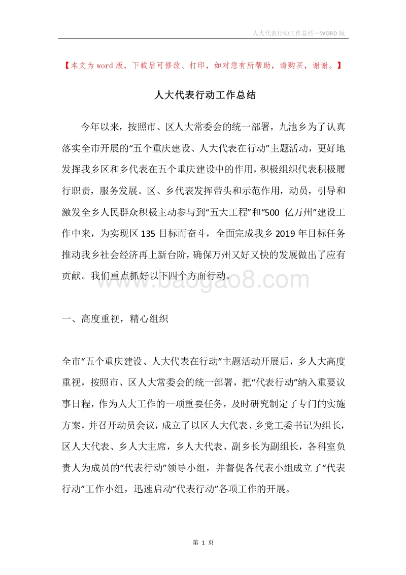 人大代表行动工作总结.docx_第1页