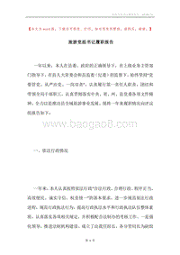 旅游党组书记履职报告.docx
