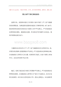 国土局严于律己情况报告.docx