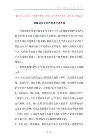 煤监局安全生产自查工作汇报.docx