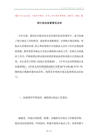 统计执法监督情况总结.docx