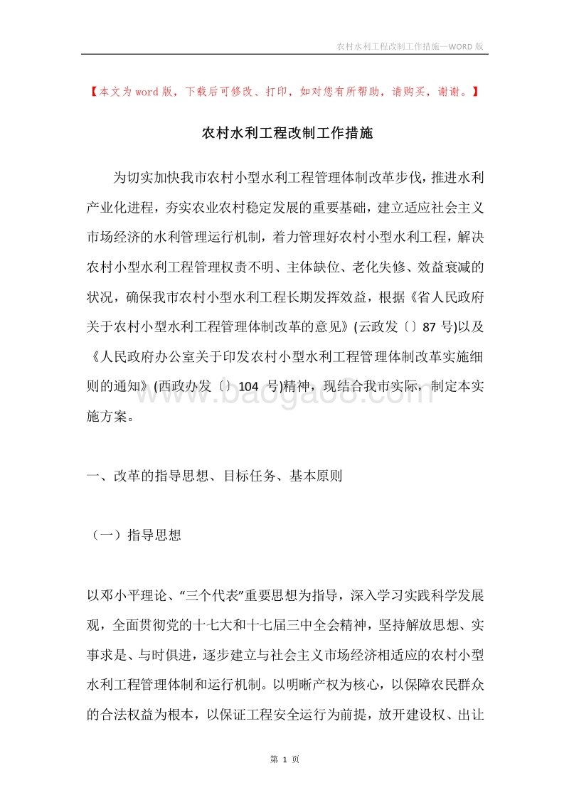 农村水利工程改制工作措施.docx_第1页