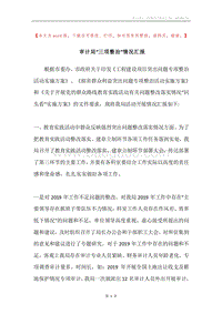 审计局“三项整治”情况汇报.docx