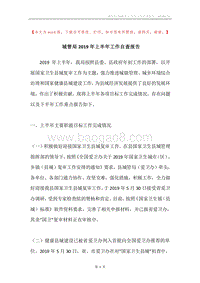 城管局2019年上半年工作自查报告.docx