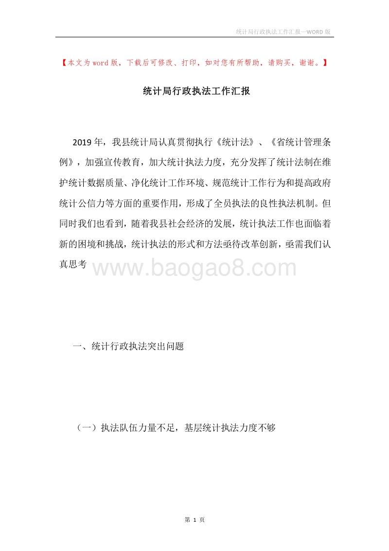统计局行政执法工作汇报.docx_第1页