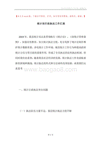 统计局行政执法工作汇报.docx