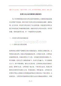 民营文化企业发展情况调查报告.docx