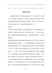 瑞典实习报告.docx