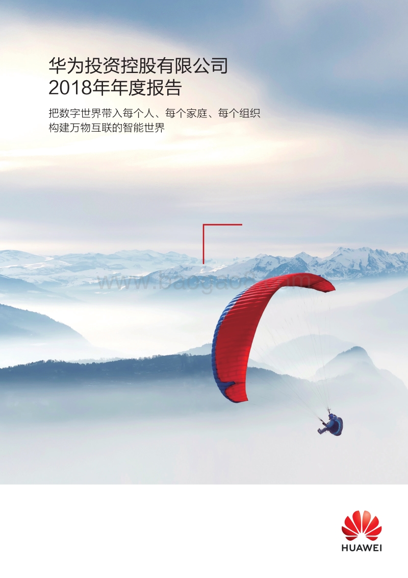2018年年度华为投资控股有限公司财务报告.pdf_第1页