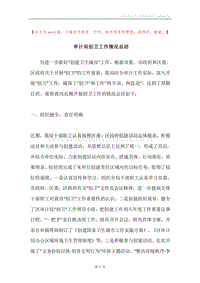 审计局创卫工作情况总结.docx
