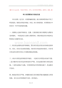 审计局预算执行经验交流.docx