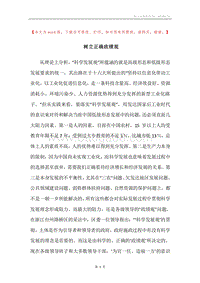 树立正确政绩观.docx