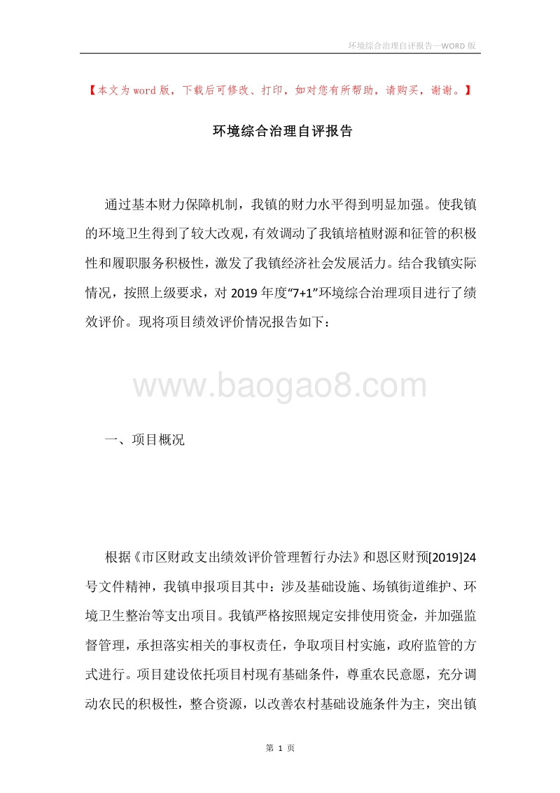 环境综合治理自评报告.docx_第1页