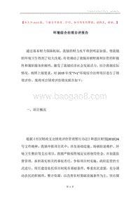 环境综合治理自评报告.docx